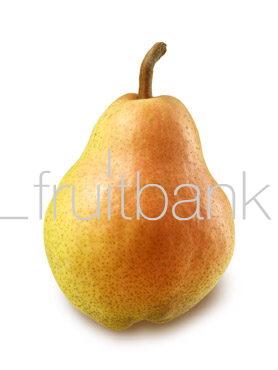 Fruitbank Foto: Birne HK006017
