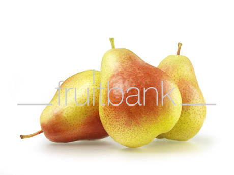 Fruitbank Foto: Birne HK006030