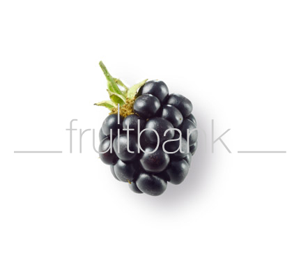 Fruitbank Foto: Brombeere UK008042