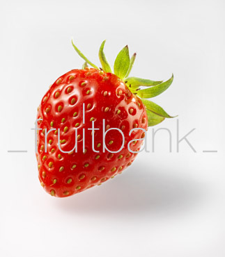 Fruitbank Foto: Erdbeere HK013024