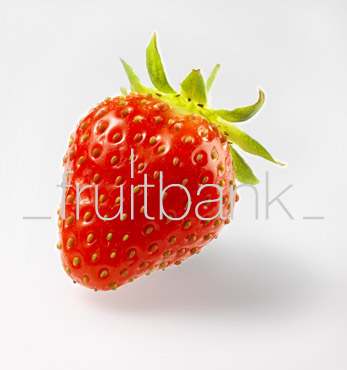 Fruitbank Foto: Erdbeere HK013026