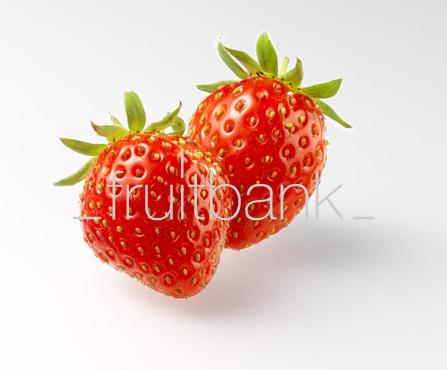 Fruitbank Foto: Zwei Erdbeeren HK013029