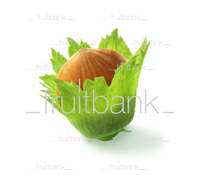 Fruitbank Foto: Haselnuss HK014002