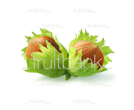 Fruitbank Foto: Haselnuss Paar HK014005