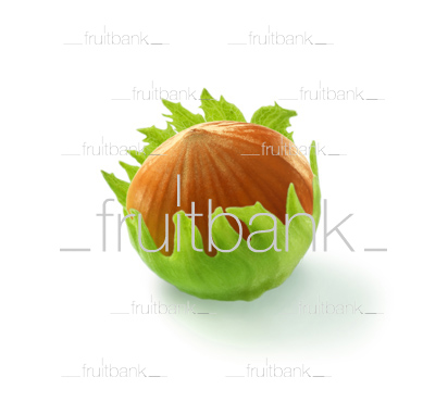 Fruitbank Foto: Haselnuss HK014006