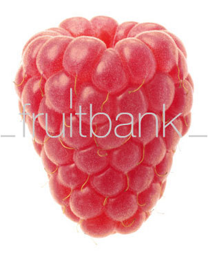 Fruitbank Foto: Himbeere UK018038