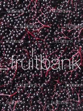 Fruitbank Foto: Holunderbeeren Teppich UK017017