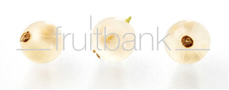 Fruitbank Foto: Weisse Johannisbeeren UK021029