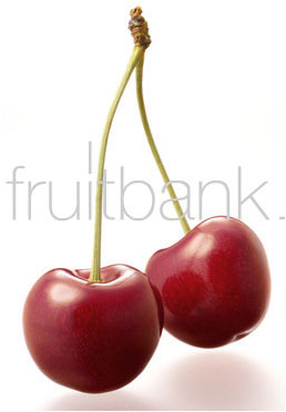 Fruitbank Foto: Süsskirschen mit Stiel UK023020
