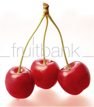 Fruitbank Foto: Süsskirschen mit Stiel UK023030