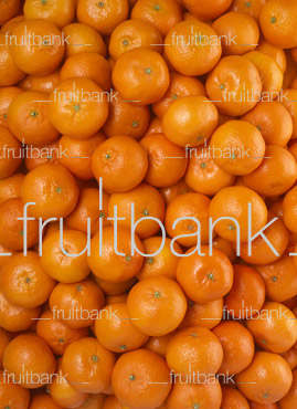 Fruitbank Foto: Mandarinen-Teppich HK029001