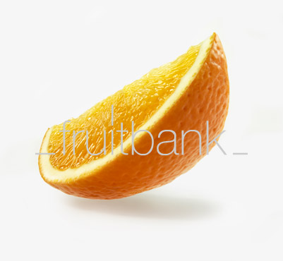 Fruitbank Foto: Orangenschnitz HK031017