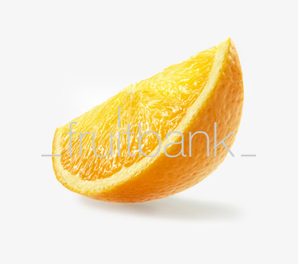 Fruitbank Foto: Orangenschnitz HK031018