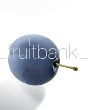 Fruitbank Foto: Pflaume UK032005