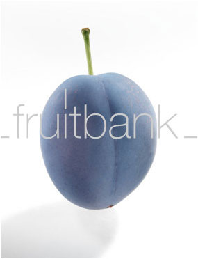 Fruitbank Foto: Pflaume UK032006