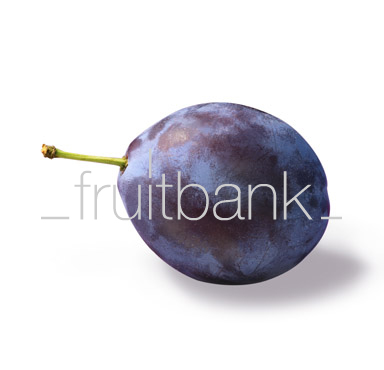 Fruitbank Foto: Pflaume UK032025