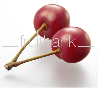 Fruitbank Foto: Sauerkirschen-Paar mit Stiel UK033011