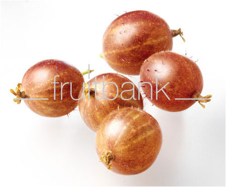 Fruitbank Foto: Rote Stachelbeeren UK034020