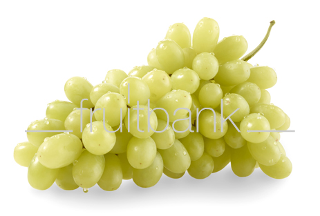 Fruitbank Foto: Grüne Weintrauben mit Wassertropfen