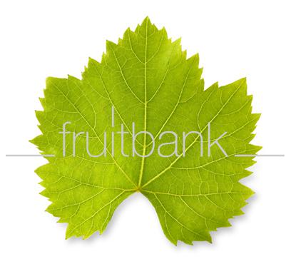 Fruitbank Foto: Weinblatt